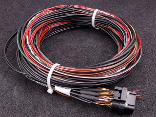 MaxxECU Gen2 Race Harness 4
