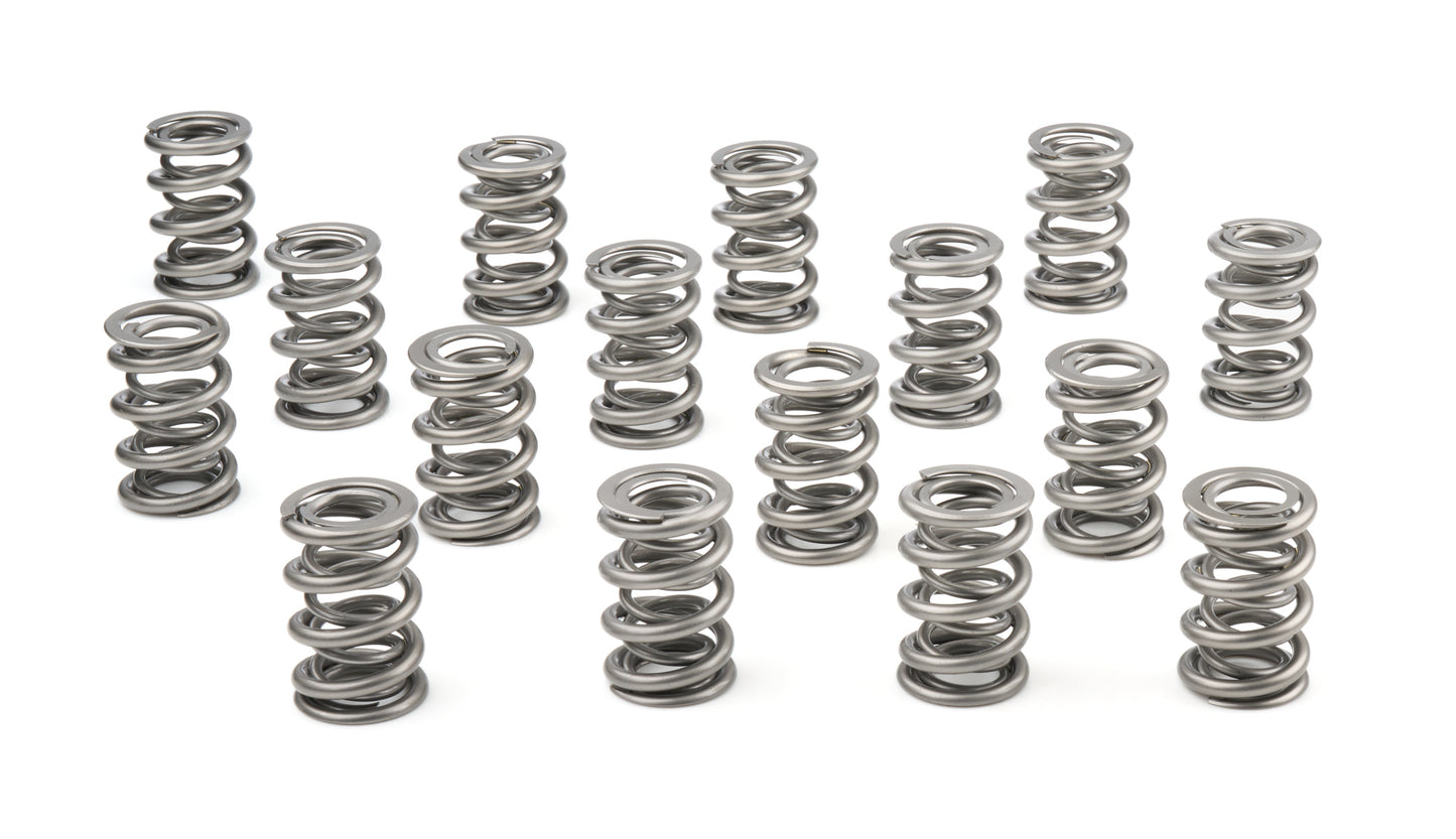 1.625 Dual Valve Springs (16)