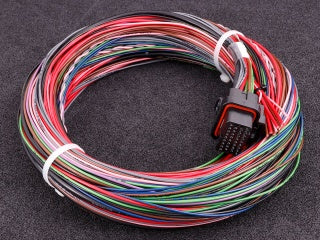 MaxxECU Gen2 Race Harness 1