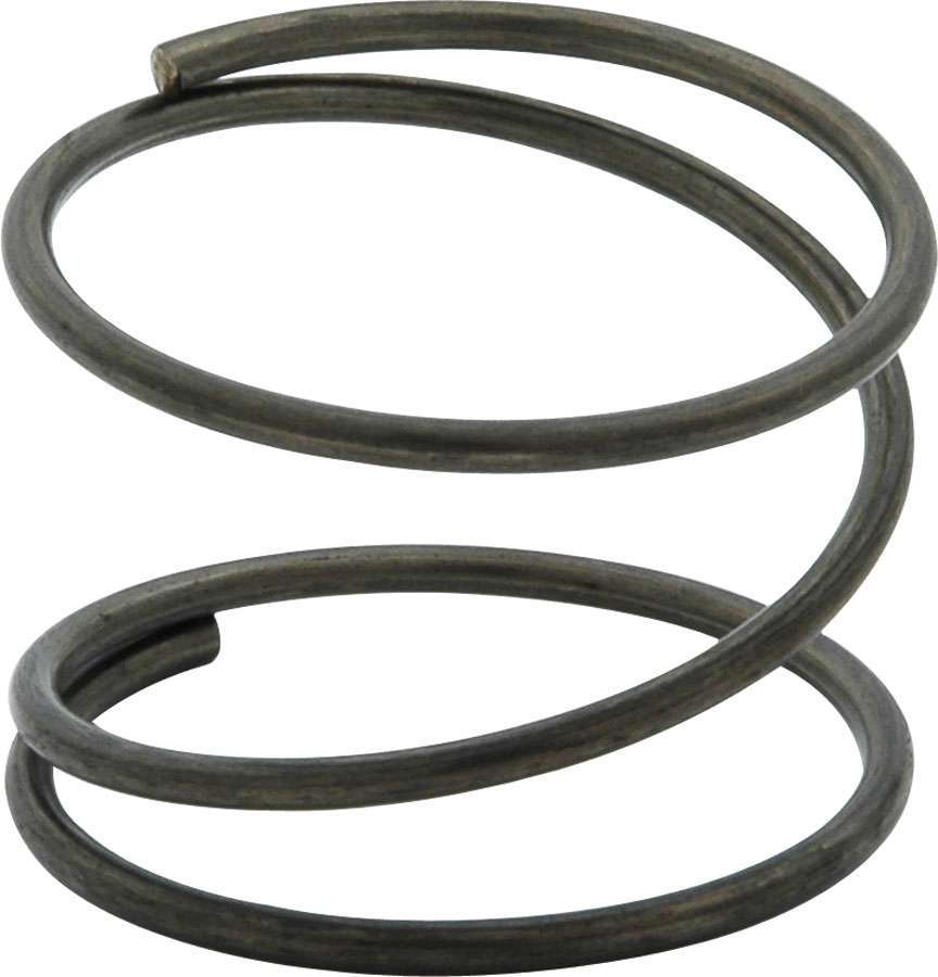 Fuel Filter Spring