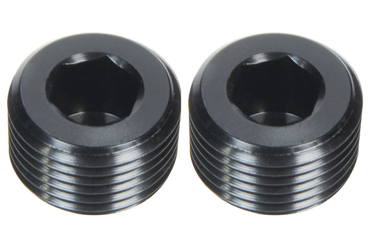 Allen Plugs NPT 1/16in 2pk