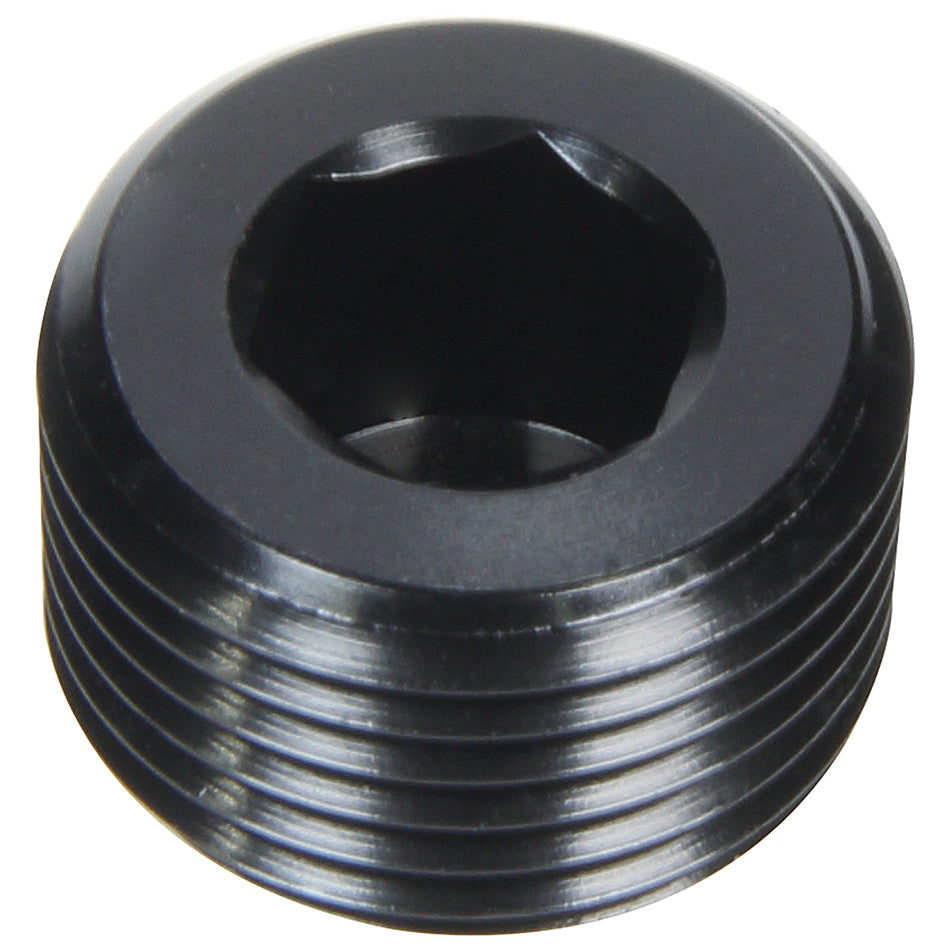 Allen Plug NPT 1/2in