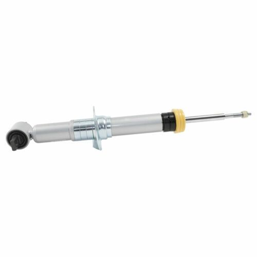 21-   Ford F150 SP Strut