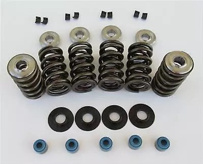 LS Dual Valve Spring & Retainer Kit