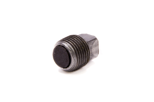 Magnetic 3/8in NPT Drain Plug