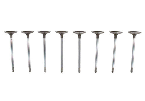 Intake Valves Lwt. 8pk 5.2L Coyote