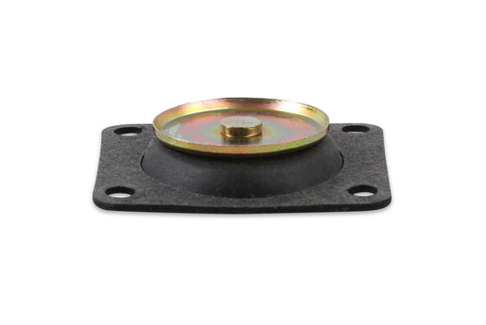 Acc. Pump Diaphragm 30cc Pump