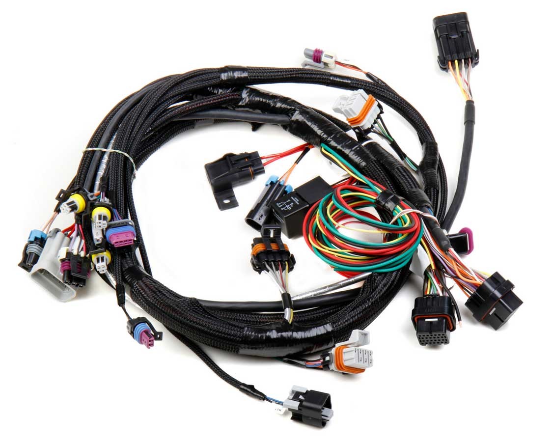 Main Wiring Harness LS1 & LS6