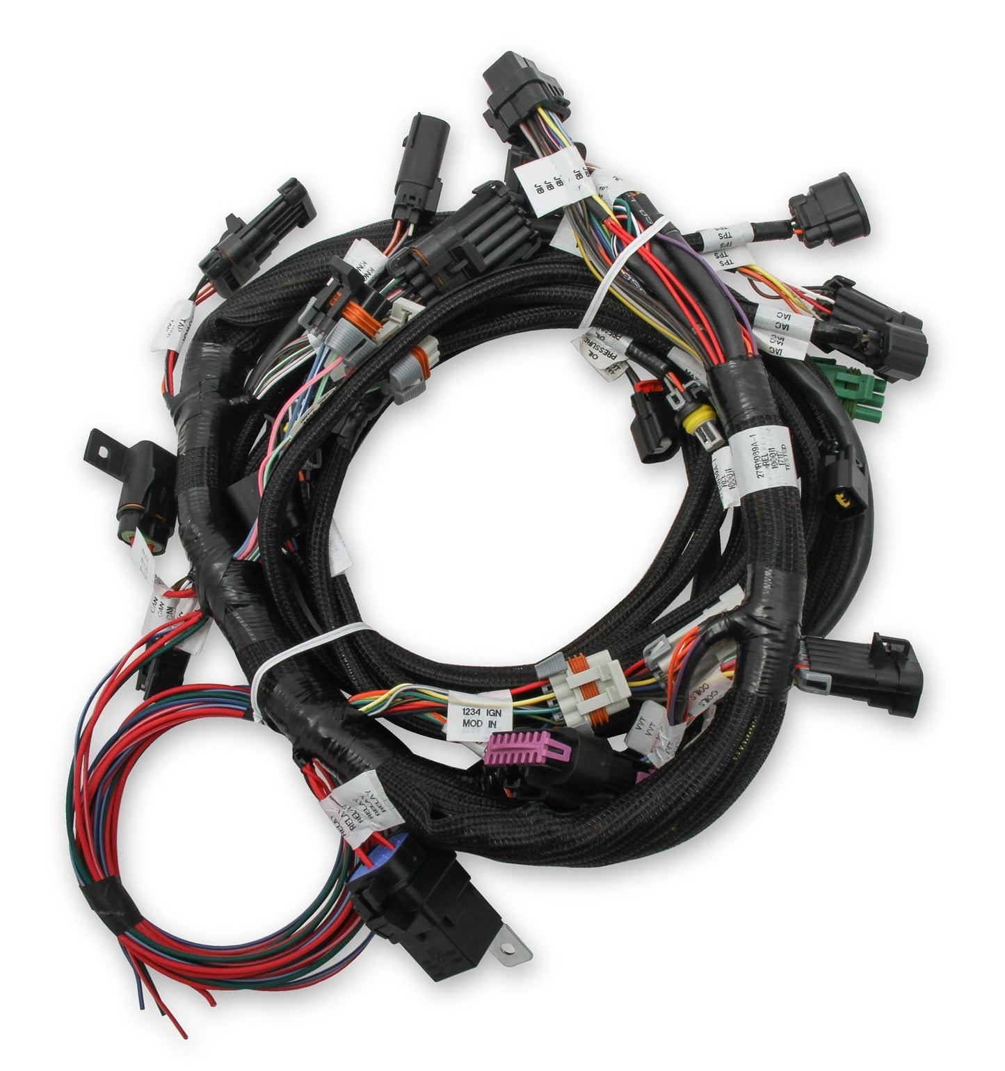 Main Harness - Ford 5.0L Coyote TI-VCT