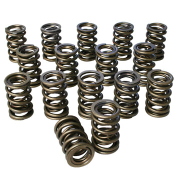 Dual Valve Springs - 1.437