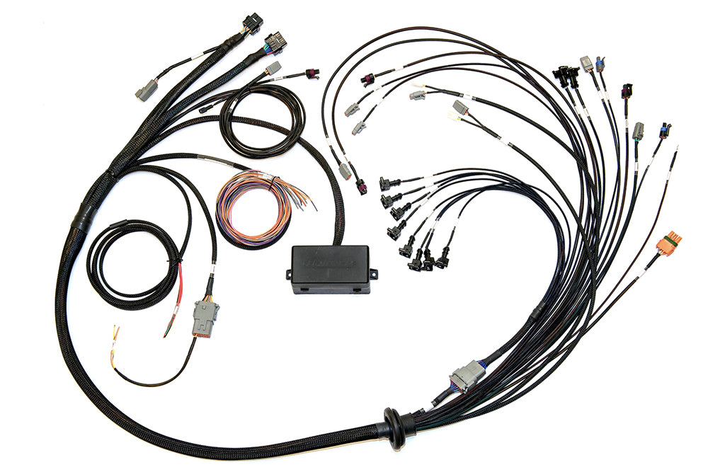 Elite 2000/2500  EV1 Terminated Wire Harness