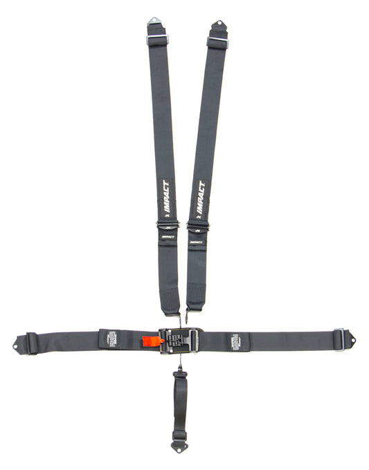 5-PT Harness System Int L&L PD Ind