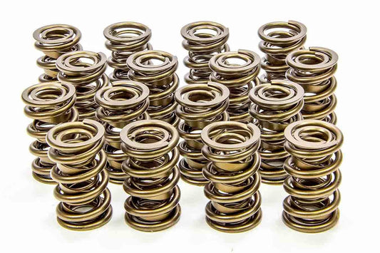 1.600 Valve Springs