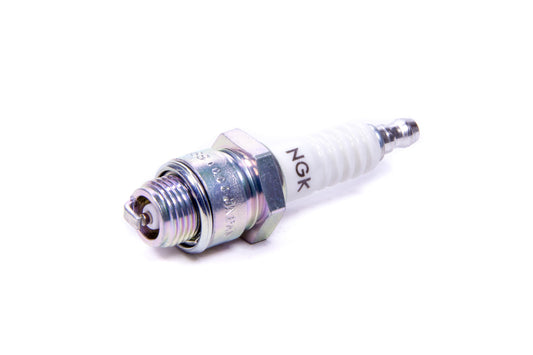 Ngk Spark Plug Stock 3810