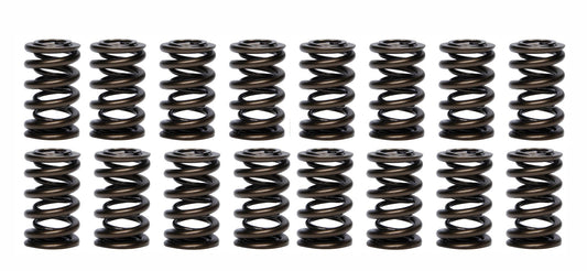 1.260 Dual Valve Springs (16)