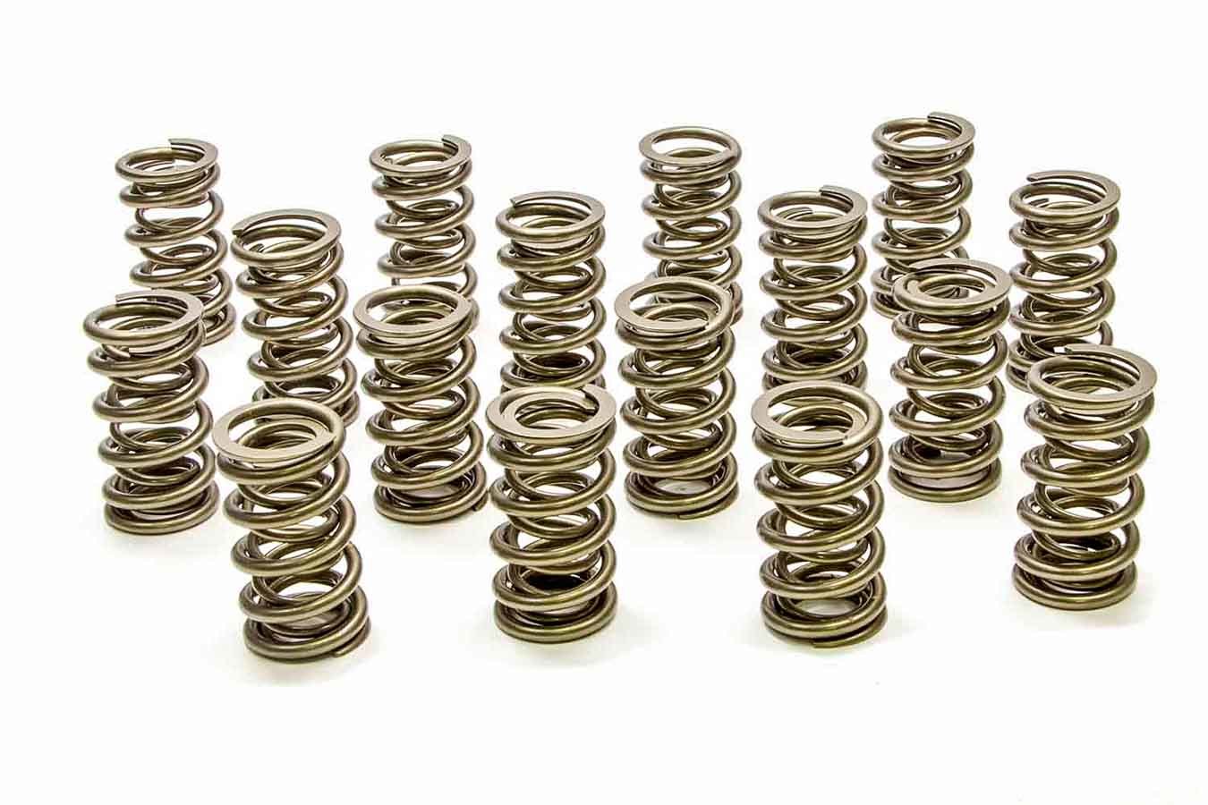 1.304 Dual Valve Springs - RPM Series (16)