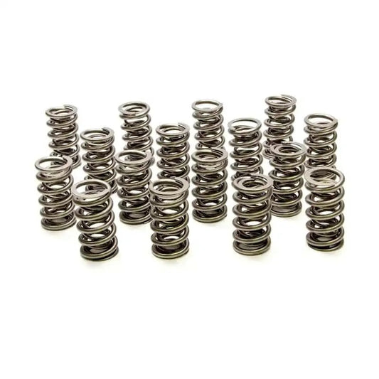 Dual Valve Springs - GM LS (16)