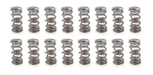 1.106 Dual Valve Springs 1300 Series (16)