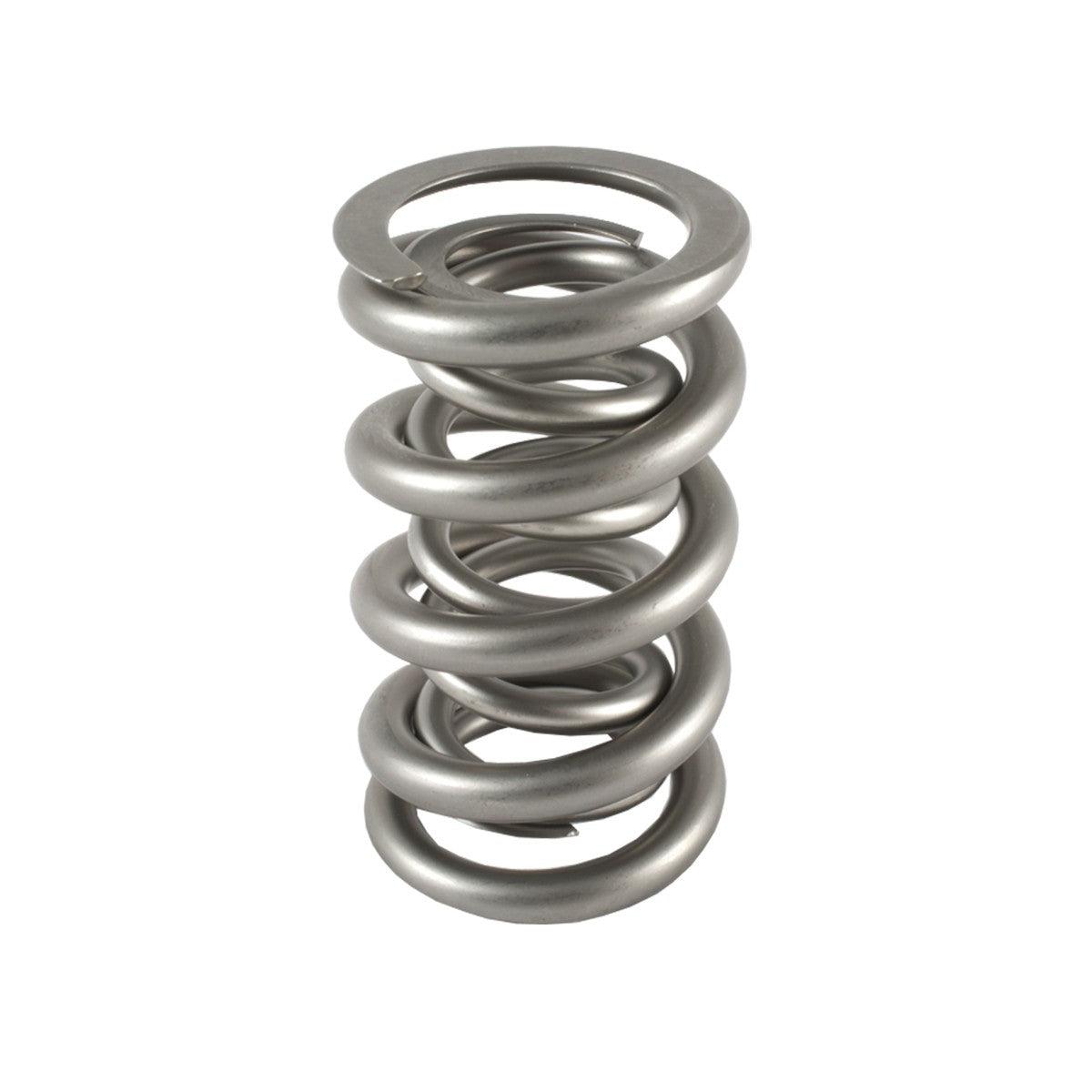 1.300 Dual Valve Spring (1)