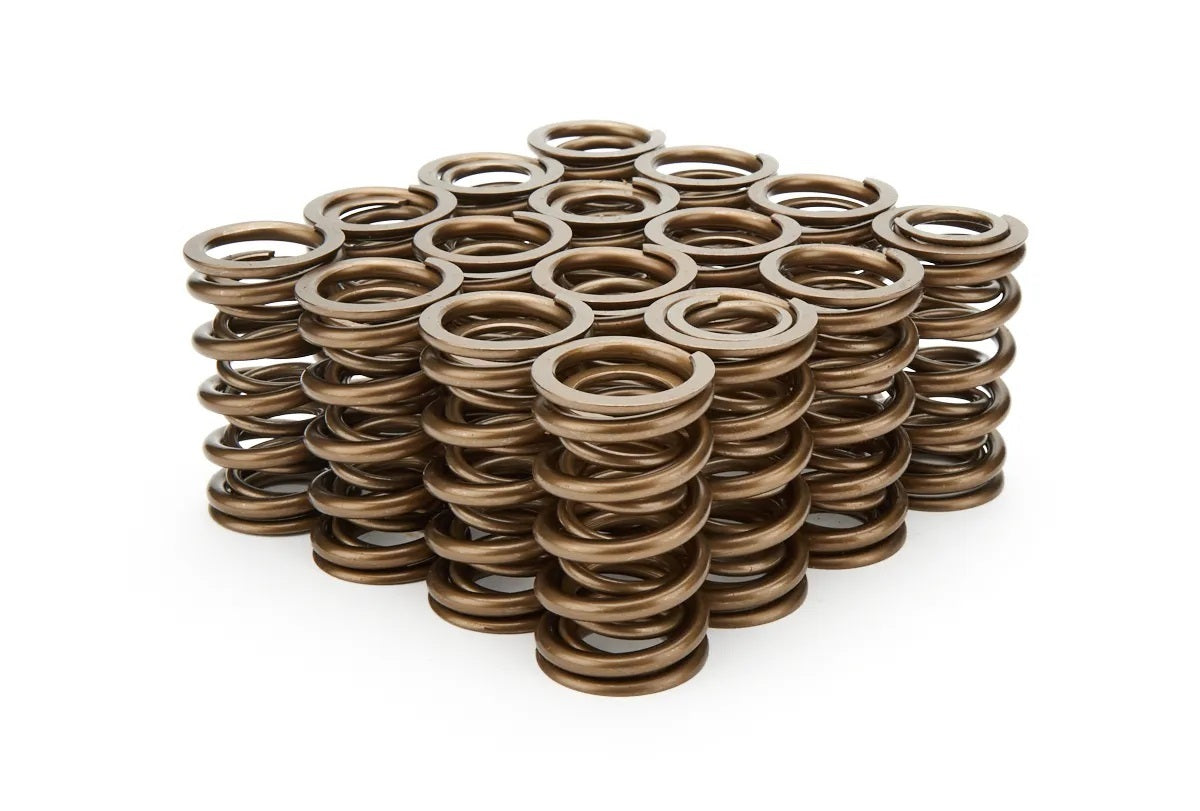 1.374 Dual Valve Springs (16)