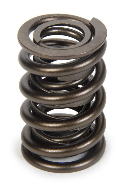 Valve Spring - HR Series (1)