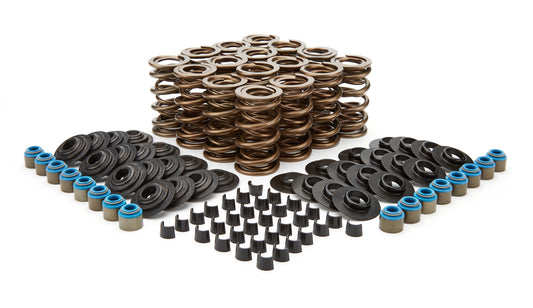 HR Valve Spring Kits - GM LS - 1.034