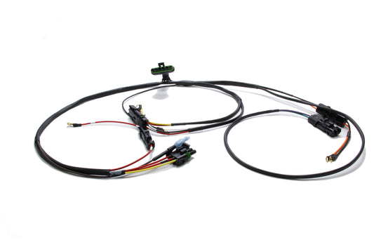 Wiring Harness Single Ignition w/ 3 Whl Brake