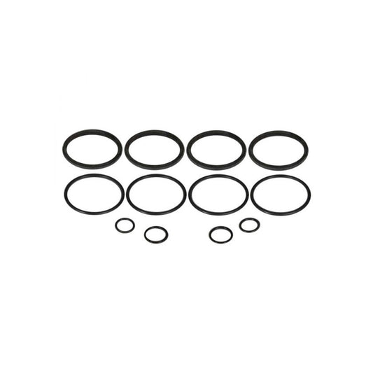 O-Ring Kit - for Early Strange 4-Piston Caliper