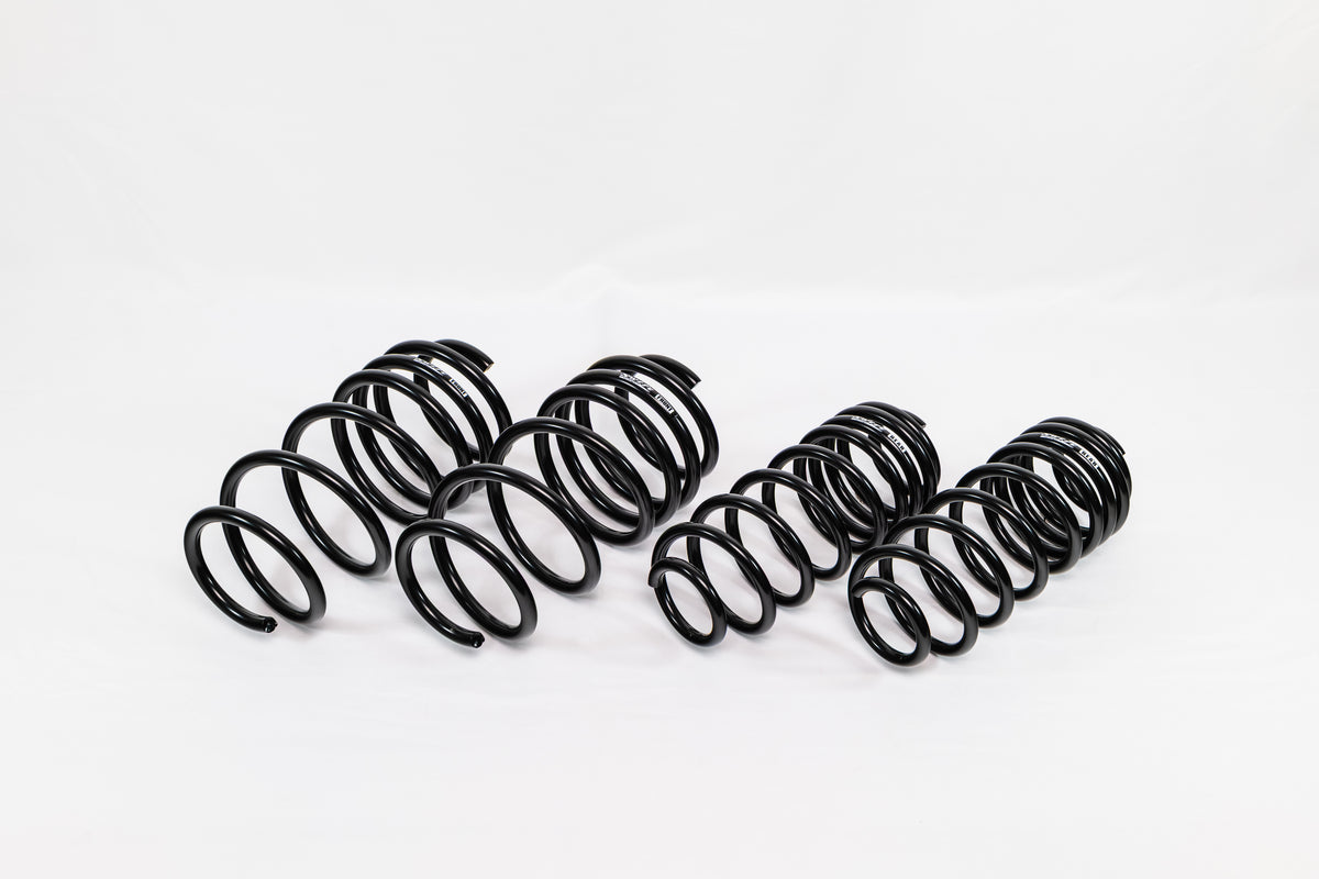 Spring Kit Spec-R Ford Fiesta ST 14-19