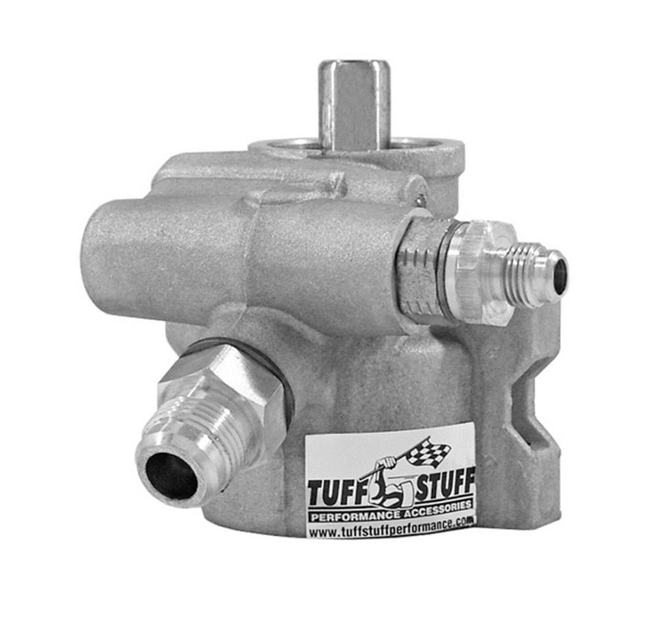 Type 2 Power Steering Pump Cast Alum