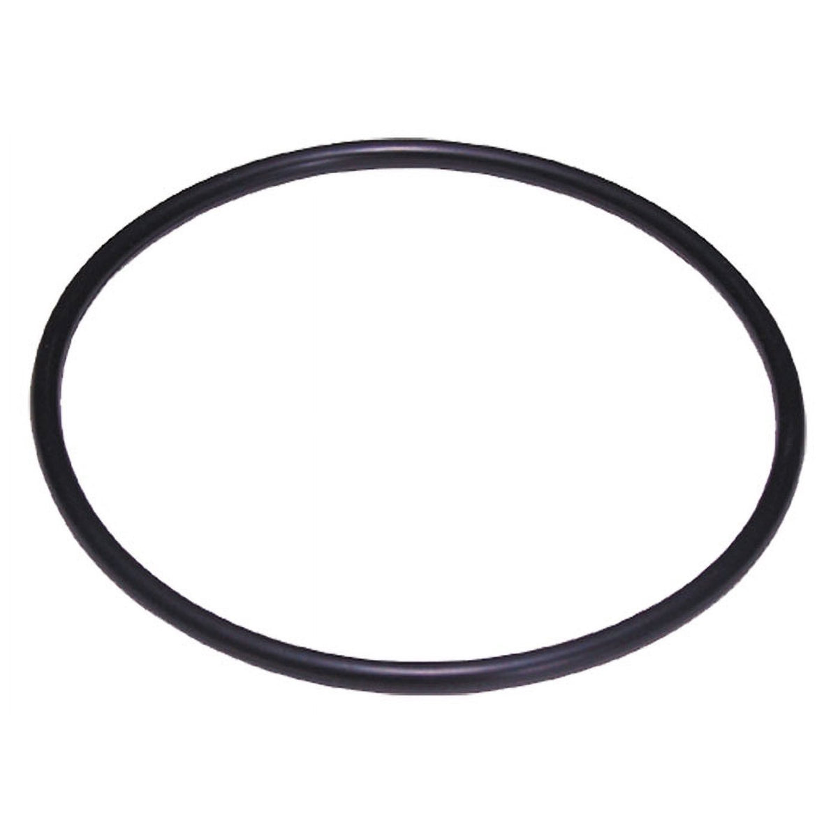 O-Ring 1022