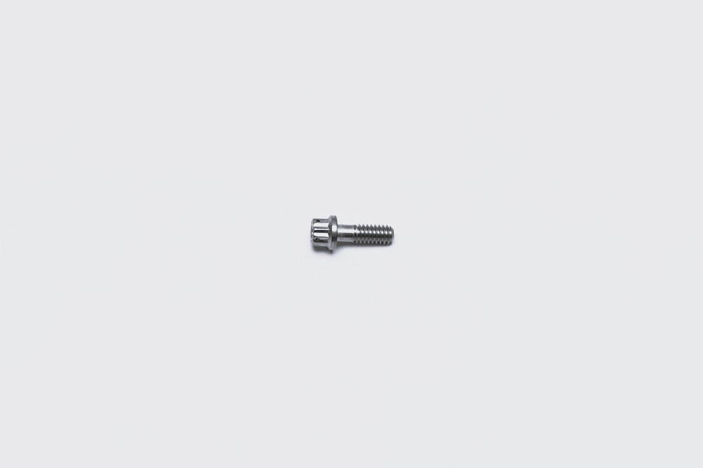 Bolt 1/4-20 X .75IN 12PT Stainless
