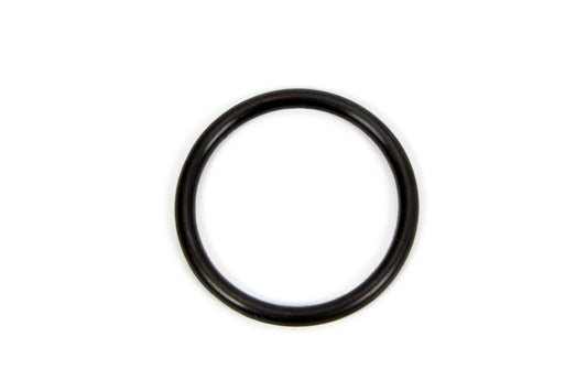 O-Ring  Piston