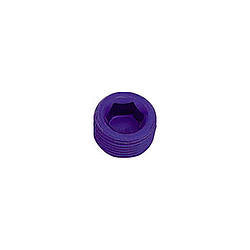 1/8in Allen Head Pipe Plug (2pk)