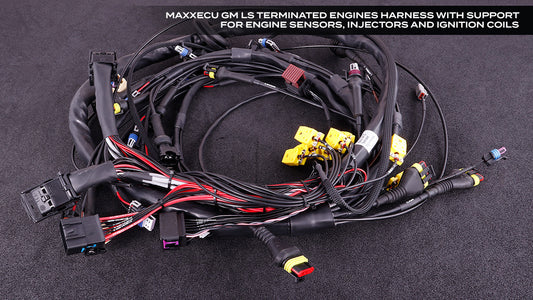 MaxxECU GM LS Terminated Wiring Harness