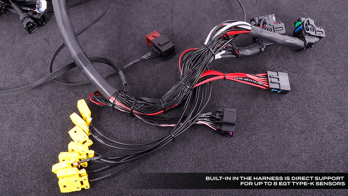 MaxxECU GM LS Terminated Wiring Harness