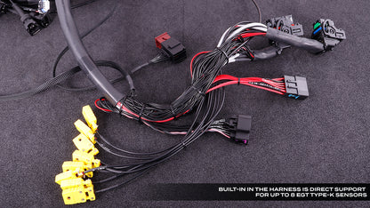 MaxxECU GM LS Terminated Wiring Harness