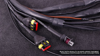 MaxxECU GM LS Terminated Wiring Harness