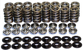 APE ZX-14 Valve Spring Kit