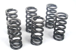 ZX14 SUPER HEAVY DUTY CLUTCH SPRINGS