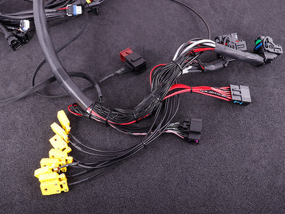 MaxxECU Terminated Engine Harness - GM LS GEN III/IV